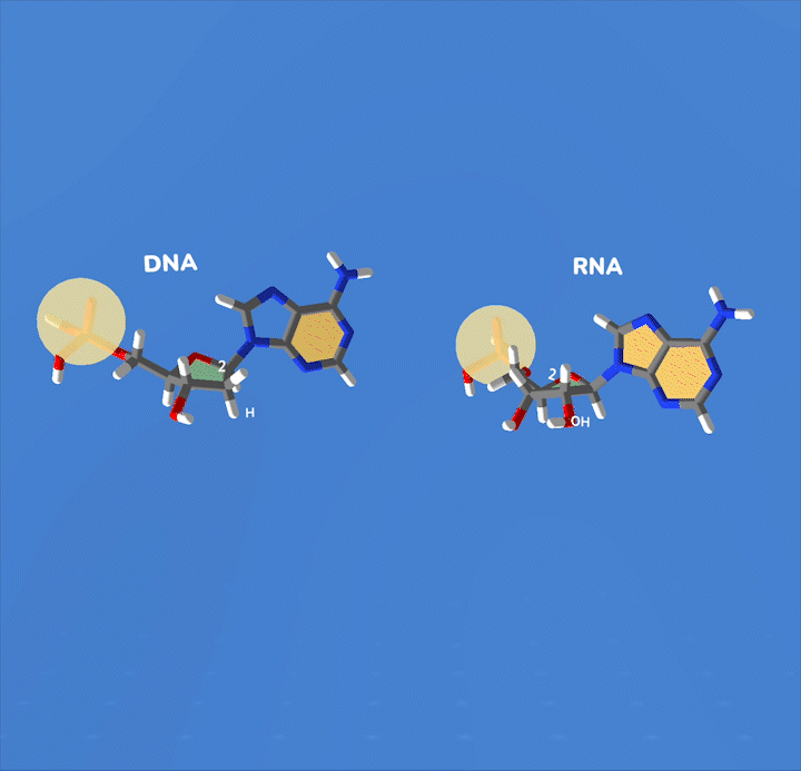 DNA Class interactive VR biology lesson